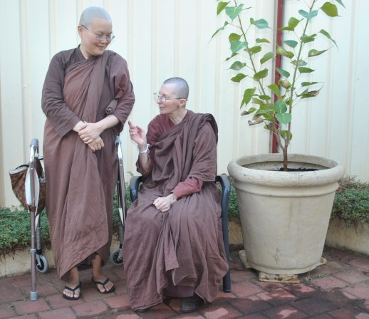 Ayya Vayama Bhikkhuni, Ayya Seri Bhikkhuni and the Bodhi Tree outside the Sala of Patacara Bhikkhuni Hermitage on 28th April 2013