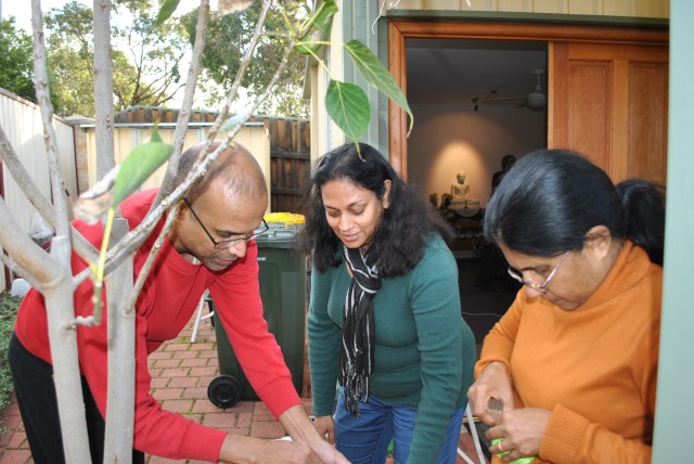 The volunteers decorating the Bodhi Tree outside the Sala of Patacara Bhikkhuni Hermitage on Sunday 15th May 2016. Photo by Havindra.