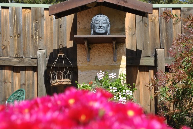 A glorious and joyous occasion at Patacara Bhikkhuni Hermitage at the End of Rains Cloth Offering Ceremony 2016. Photo by Havindra.